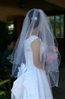 Bride stock photo