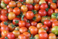 Tomato Background stock photo