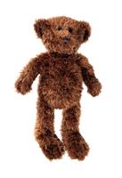 Teddy Bear stock photo