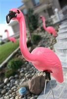 Pink Flamingo stock photo