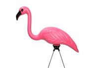 Pink Lawn Flamingo stock photo