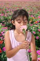 Young girl Smelling Flower stock photo