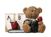 Teacher Bear stock photo