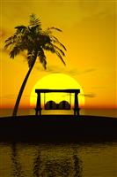 Palm Tree, Sunset, and Swing stock photo