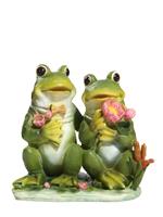 Frogs in Love stock photo