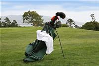 Golf Bag on Course stock photo