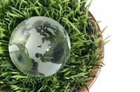 Globe in the Grass stock photo