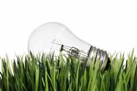 Lightbulb in the Grass stock photo