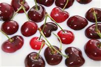 Cherries in Milk stock photo