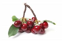 Cherries stock photo