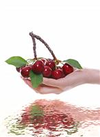 Woman Holding Cherries stock photo