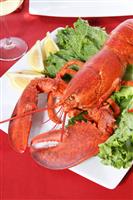 Lobster Dinner stock photo
