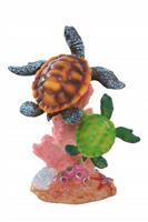 Colorful Turtles stock photo