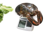 Lobster on Scale stock photo
