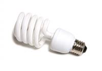 Light Bulb stock photo