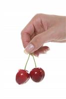 Cherries stock photo