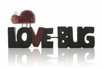 Love Bug stock photo