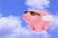 When Pigs Fly  stock photo