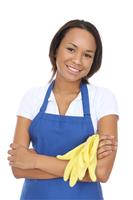 Pretty Maid with Gloves stock photo