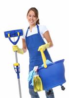 Cute Woman Maid With Mop stock photo