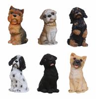 Dogs Breeds Isolated over White stock photo
