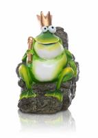 Frog Prince stock photo