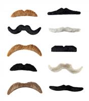 Isolated Moustaches stock photo