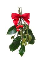 Holiday Christmas Mistletoe stock photo