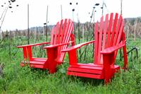Two Red Chairs in Countryside stock photo